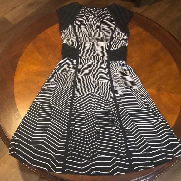 BCBGMAXAZRIA Ilana Striped Fit & Flare Dress XS - Picture 4 of 9